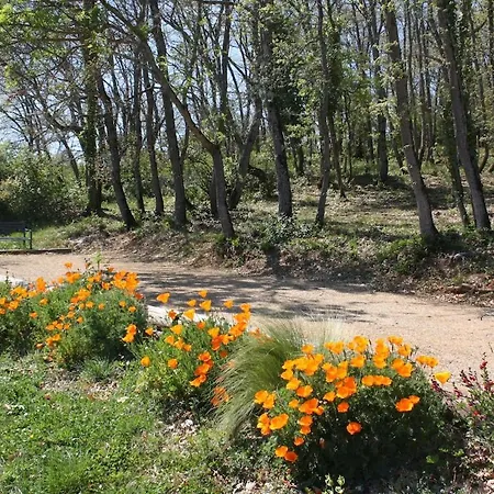 Hébergement de vacances Rural De Bergnes A L'ombre Des Grands Pins