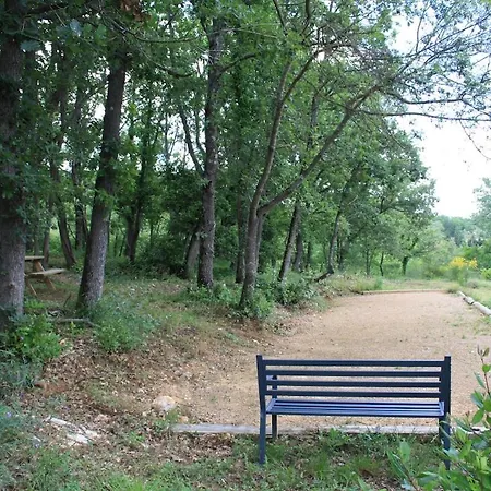 Rural De Bergnes A L'ombre Des Grands Pins Hébergement de vacances