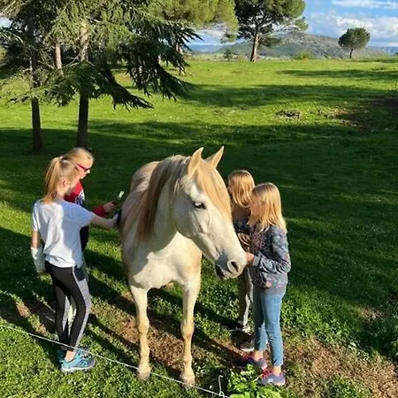 Rural De Bergnes A L'ombre Des Grands Pins Campagne-sur-Aude