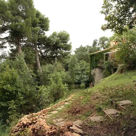 Rural De Bergnes A L'ombre Des Grands Pins Campagne-sur-Aude