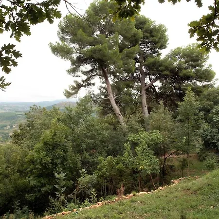 Rural De Bergnes A L'ombre Des Grands Pins Prázdninový dům Campagne-sur-Aude