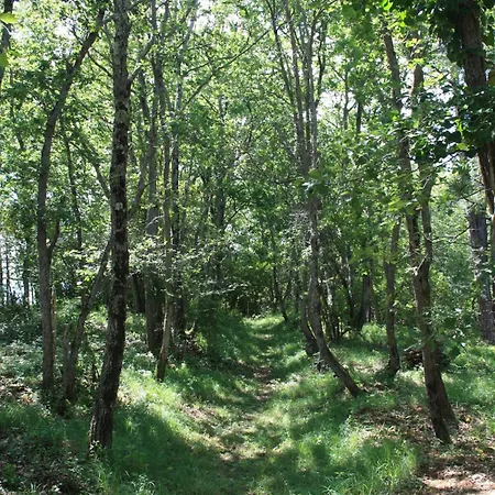 Prázdninový dům Rural De Bergnes A L'ombre Des Grands Pins *