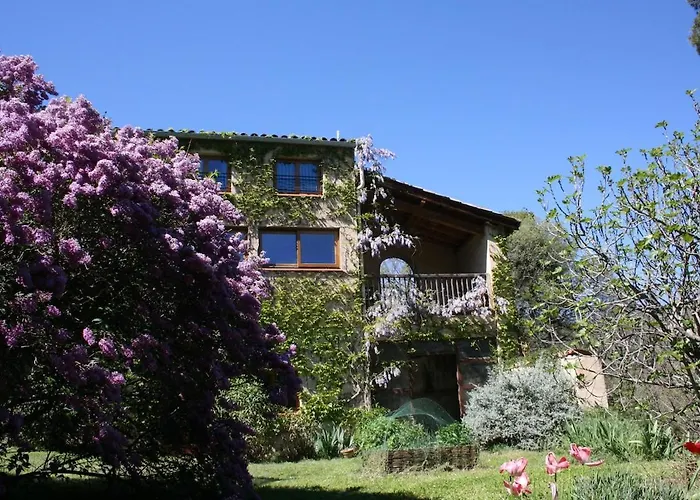 Feriehus Rural De Bergnes A L'ombre Des Grands Pins Campagne-sur-Aude
