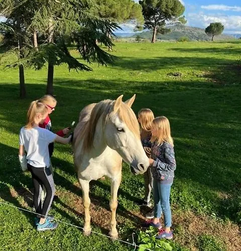 Rural De Bergnes A L'ombre Des Grands Pins Campagne-sur-Aude