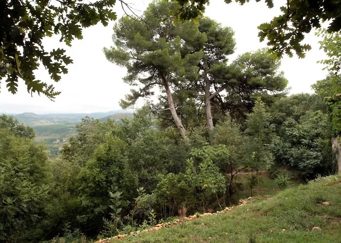 Rural De Bergnes A L'ombre Des Grands Pins Feriehus Campagne-sur-Aude