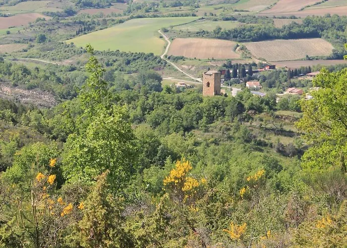Rural De Bergnes A L'ombre Des Grands Pins Campagne-sur-Aude