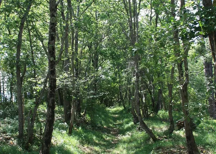 Feriehus Rural De Bergnes A L'ombre Des Grands Pins *